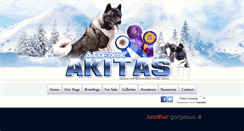 Desktop Screenshot of apexxakitas.com